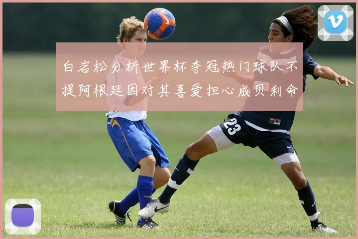白岩松分析世界杯夺冠热门球队不提阿根廷因对其喜爱担心成贝利命运